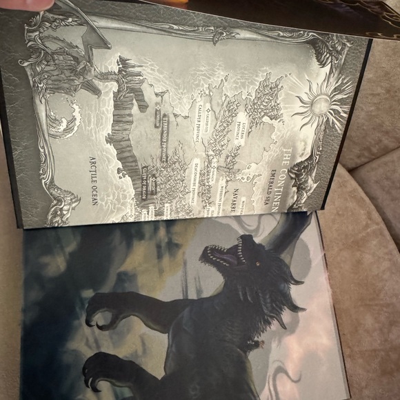 Acrylipics Fourth Wing by Rebecca Yarros - Black and Gold Edition - Picture 5 of 5